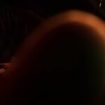 ◈━◈━◈━◈━◈