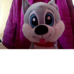 COOL WOLFY