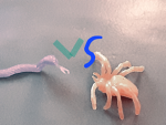 Spiders vs skinny snakes