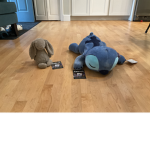 Stitch and Bunny DreamWorks