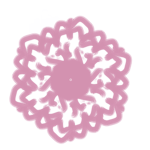 Flower+blossom