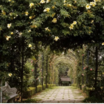 Mahuldas garden
