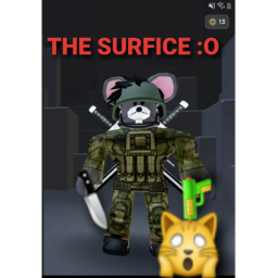 The surfice🏘