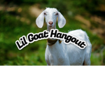 Lil Goat Hangout