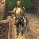 The Knights of True Horn
