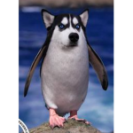 Great Roblox Group