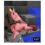 Meme s