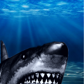 JAWS (UPDATE)🦈
