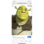 Shrek the movie 21