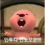 imyorYT 와라!