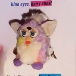 The Furby Cult's Place