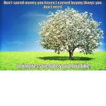 Ching Ching go the money tree