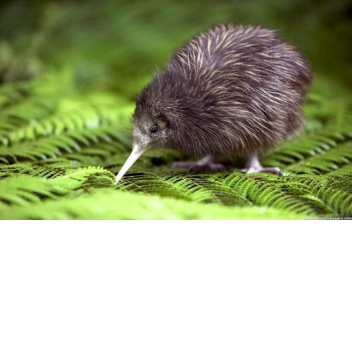 MEGA SUPER HERO TYCOON