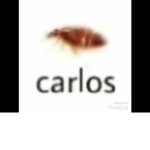 Carlos the Carlos