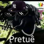 Pretuê Real Fans