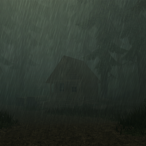 Rainy Forest