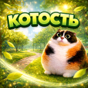 Котость