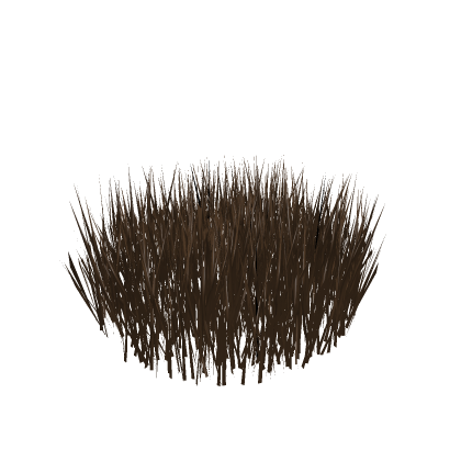 tall grass