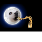Gabe The Great Dog