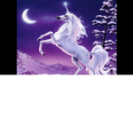 The midnight unicorn's group