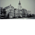 Saarne Institute