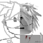 whoisnexa