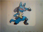 Lucario fan club(and a little battling