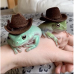 Frogie gang