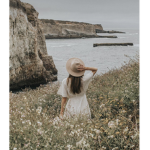 {Aesthetic Army}