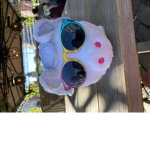 Rainbow unicorns group may