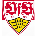 DIE VFB GANG