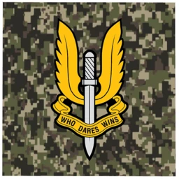 RHQ Stirling Lines icon
