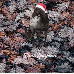 ~Silver Sparrows Riding Academy~