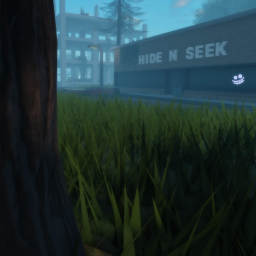 Hide in the dark