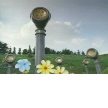 The Voice Trumpet Land