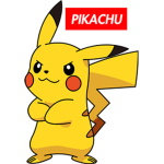 2008_Pikachu Clothes