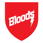 bloods in da hood