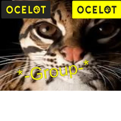Group Icon