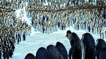 PenguinNationStudio