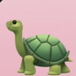 WB turtles