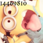 Vcl_345