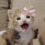TʜᴇLᴏsᴛBᴀᴅᴅɪᴇs