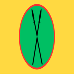 Eastern Citizen Defense Coalition (ECDC)