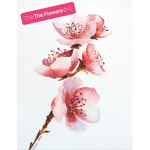 The Flowers :)
