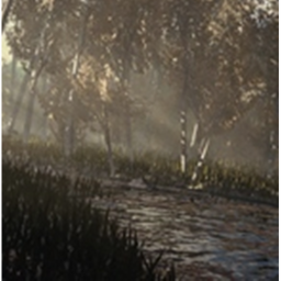 Forest R [Showchase]