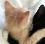 .Bella.and.bella.