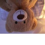 Your online teddy <3