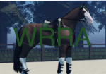 WILD HEART RPS ACADEMY