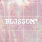 -Blossom-