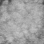 カルウイルス